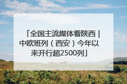 全国主流媒体看陕西｜中欧班列（西安）今年以来开行超2500列