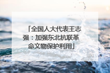 全国人大代表王志强：加强东北抗联革命文物保护利用