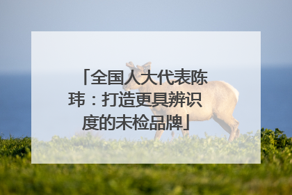 全国人大代表陈玮：打造更具辨识度的未检品牌