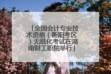 全国会计专业技术资格（衡阳考区）无纸化考试在湖南财工职院举行