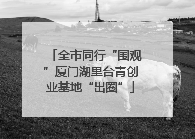 全市同行“围观”厦门湖里台青创业基地“出圈”