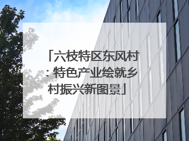 六枝特区东风村：特色产业绘就乡村振兴新图景