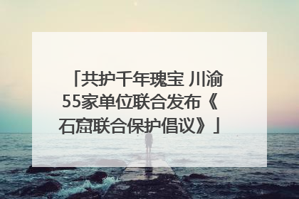 共护千年瑰宝 川渝55家单位联合发布《石窟联合保护倡议》
