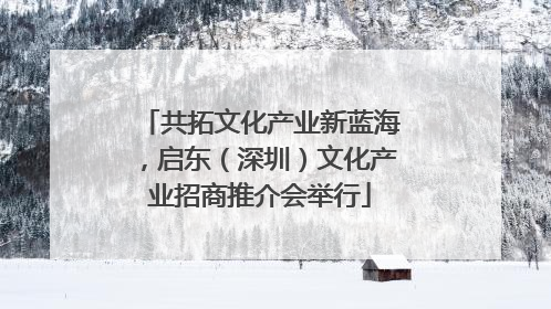 共拓文化产业新蓝海，启东（深圳）文化产业招商推介会举行