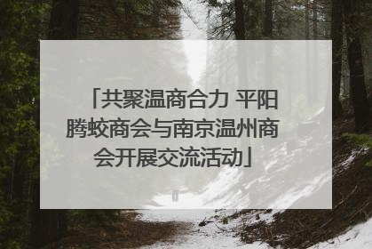 共聚温商合力 平阳腾蛟商会与南京温州商会开展交流活动