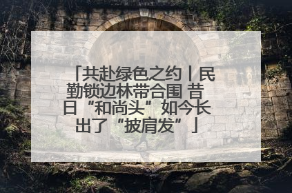 共赴绿色之约丨民勤锁边林带合围 昔日“和尚头”如今长出了“披肩发”