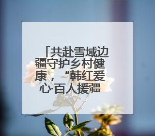 共赴雪域边疆守护乡村健康，“韩红爱心·百人援疆”线下线上进行时