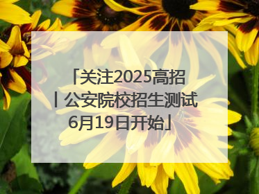关注2025高招丨公安院校招生测试6月19日开始
