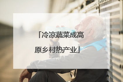 冷凉蔬菜成高原乡村热产业