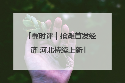 冀时评｜抢滩首发经济 河北持续上新
