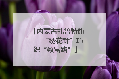 内蒙古扎鲁特旗——“绣花针”巧织“致富路”