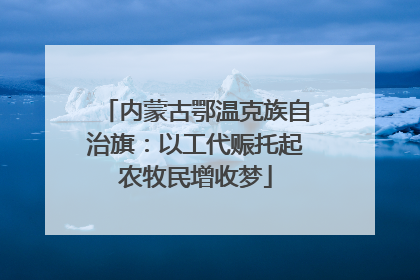 内蒙古鄂温克族自治旗：以工代赈托起农牧民增收梦