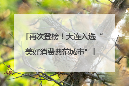 再次登榜！大连入选“美好消费典范城市”