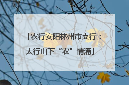 农行安阳林州市支行：太行山下“农”情涌
