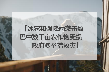 冰雹和强降雨袭击致巴中数千亩农作物受损，政府多举措救灾