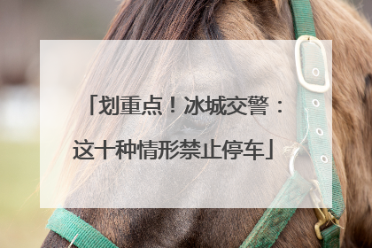 划重点！冰城交警：这十种情形禁止停车