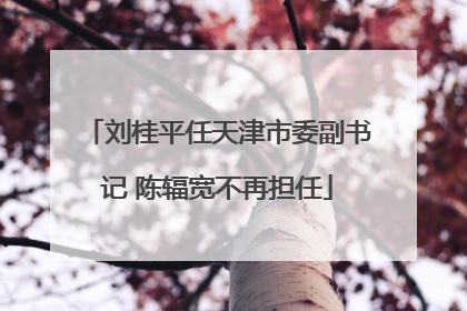 刘桂平任天津市委副书记 陈辐宽不再担任