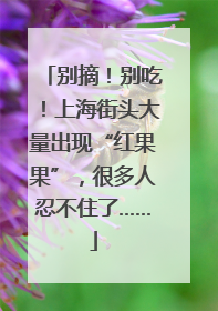 别摘！别吃！上海街头大量出现“红果果”，很多人忍不住了……