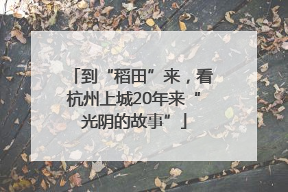 到“稻田”来，看杭州上城20年来“光阴的故事”