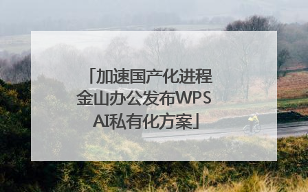 加速国产化进程 金山办公发布WPS AI私有化方案