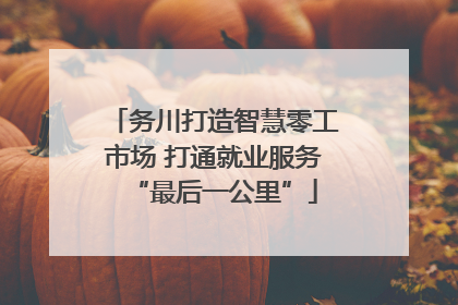 务川打造智慧零工市场 打通就业服务“最后一公里”