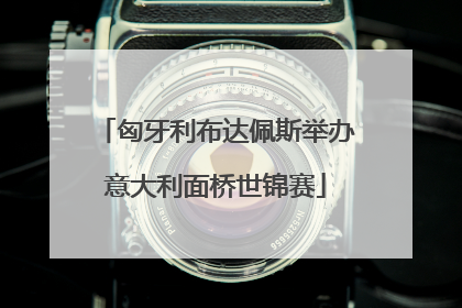 匈牙利布达佩斯举办意大利面桥世锦赛