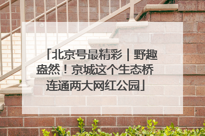 北京号最精彩｜野趣盎然！京城这个生态桥连通两大网红公园