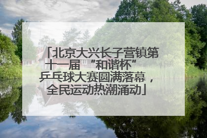 北京大兴长子营镇第十一届 “和谐杯” 乒乓球大赛圆满落幕，全民运动热潮涌动