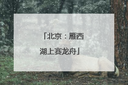 北京：雁西湖上赛龙舟
