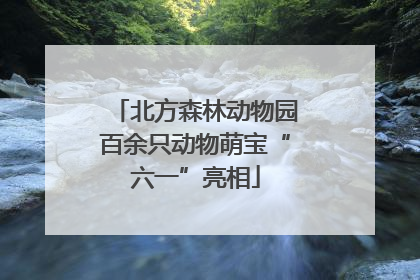 北方森林动物园百余只动物萌宝“六一”亮相