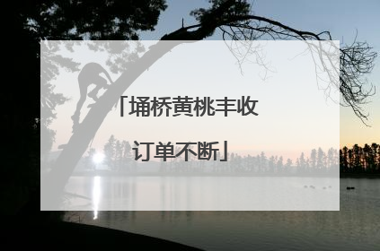 埇桥黄桃丰收 订单不断