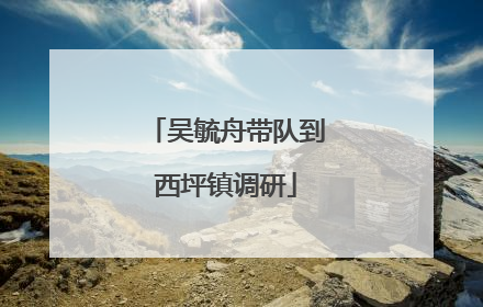 吴毓舟带队到西坪镇调研
