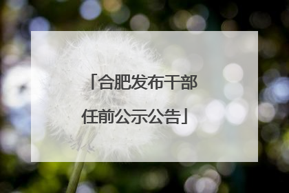合肥发布干部任前公示公告