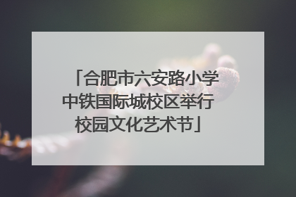 合肥市六安路小学中铁国际城校区举行校园文化艺术节