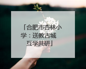 合肥市杏林小学：送教古城 互学共研