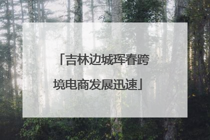 吉林边城珲春跨境电商发展迅速