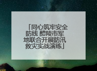 同心筑牢安全防线 醴陵市军地联合开展防汛救灾实战演练