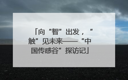 向“智”出发，“触”见未来——“中国传感谷”探访记