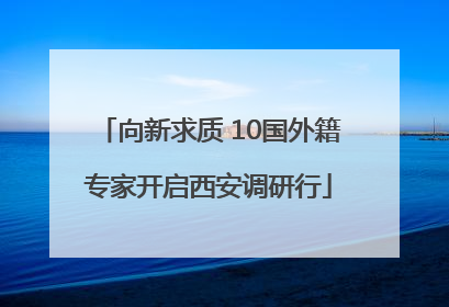 向新求质 10国外籍专家开启西安调研行