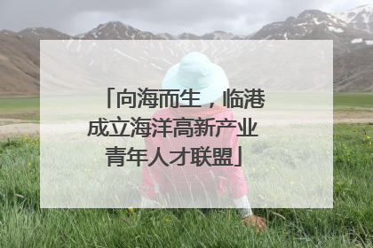 向海而生，临港成立海洋高新产业青年人才联盟