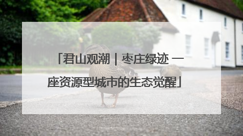 君山观潮｜枣庄绿迹 一座资源型城市的生态觉醒