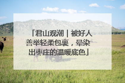 君山观潮｜被好人善举轻柔包裹，晕染出枣庄的温暖底色
