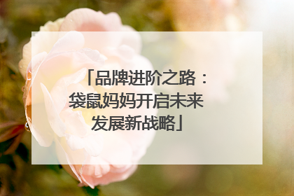 品牌进阶之路：袋鼠妈妈开启未来发展新战略