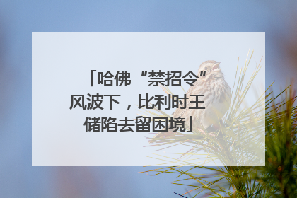 哈佛“禁招令”风波下，比利时王储陷去留困境