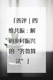 善评｜四维共振：解码乡村振兴的“齐鲁算法”