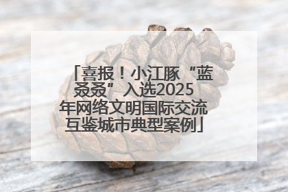 喜报！小江豚“蓝叒叒”入选2025年网络文明国际交流互鉴城市典型案例
