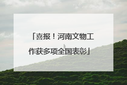 喜报！河南文物工作获多项全国表彰