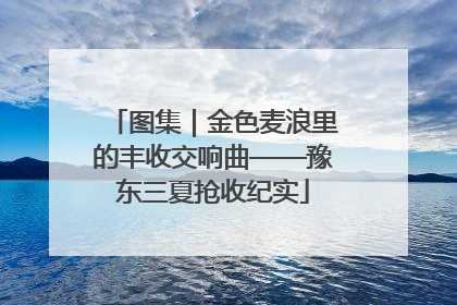 图集｜金色麦浪里的丰收交响曲——豫东三夏抢收纪实