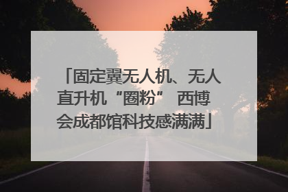 固定翼无人机、无人直升机“圈粉” 西博会成都馆科技感满满