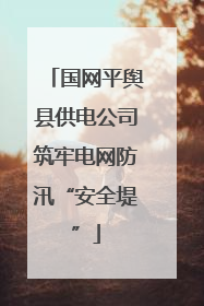 国网平舆县供电公司筑牢电网防汛“安全堤”